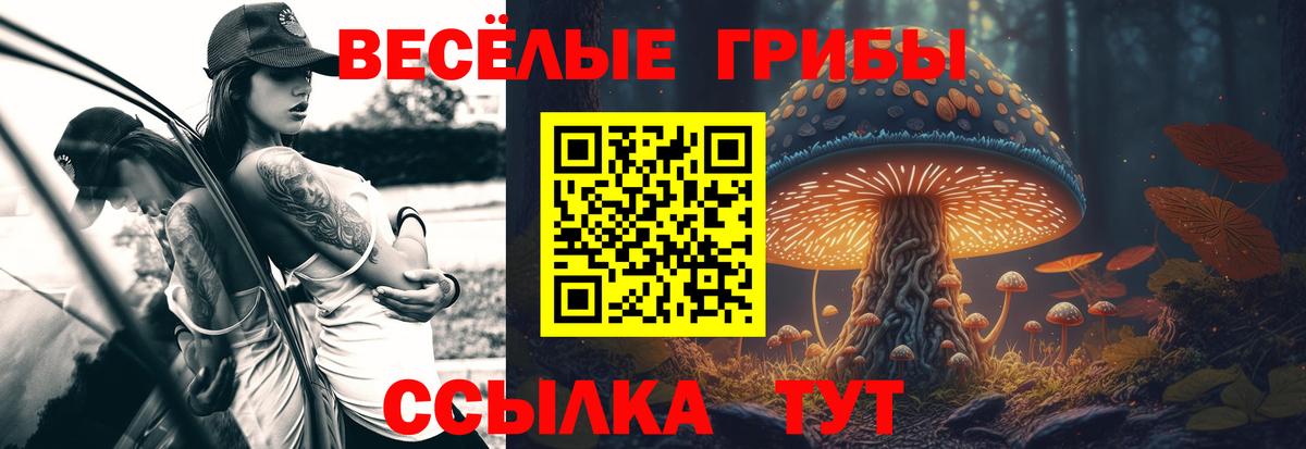 Мыски  Псилоцибиновые грибы мухоморы  Вход с VPN 
